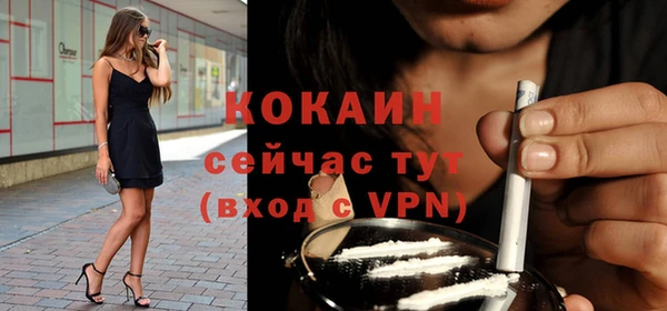 ГАЛЛЮЦИНОГЕННЫЕ ГРИБЫ Новозыбков
