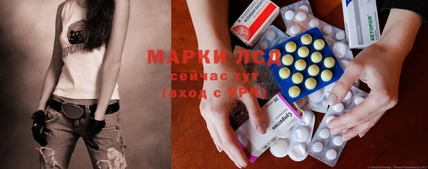 ГАЛЛЮЦИНОГЕННЫЕ ГРИБЫ Новозыбков