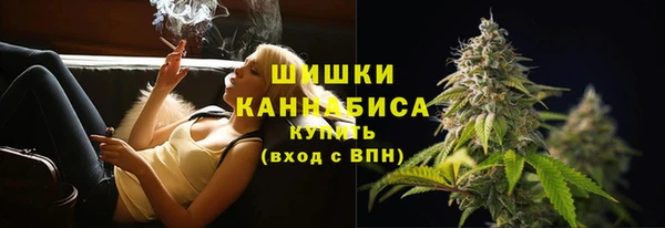 ГАЛЛЮЦИНОГЕННЫЕ ГРИБЫ Новозыбков