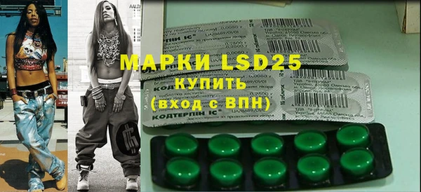 ГАЛЛЮЦИНОГЕННЫЕ ГРИБЫ Новозыбков