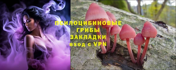 прущие крисы Новодвинск