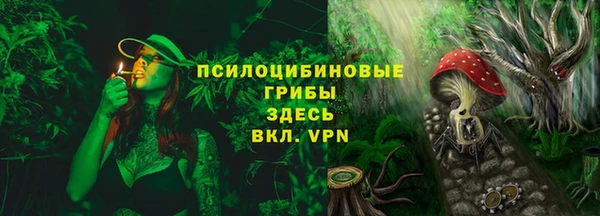 ГАЛЛЮЦИНОГЕННЫЕ ГРИБЫ Новозыбков